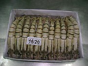 тигровые 16/20 с головой  837 ₽